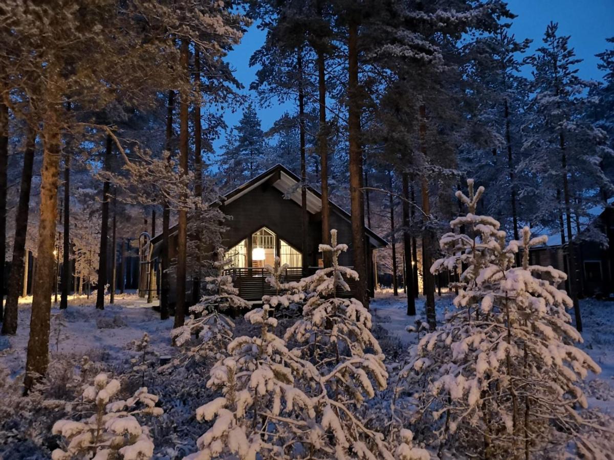 Villa Lotta Virttaa Экстерьер фото